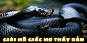 Giải mã giấc mơ thấy rắn