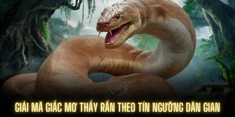 Giải mã giấc mơ thấy rắn theo tín ngưỡng dân gian