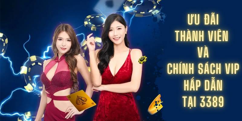 Ưu đãi thành viên và chính sách VIP hấp dẫn tại 3389