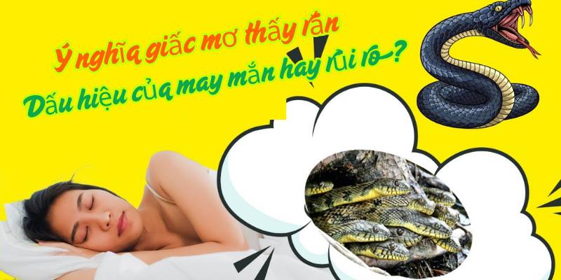 Ý nghĩa giấc mơ thấy rắn: Dấu hiệu của may mắn hay rủi ro?
